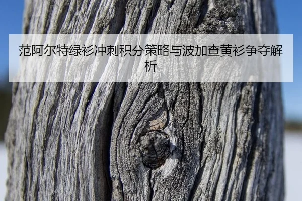 fan-a-er-te-lv-shan-chong-ci-ji-fen-ce-lve-yu-bo-jia-cha-huang-shan-zheng-duo-jie-xi-3-236.jpg